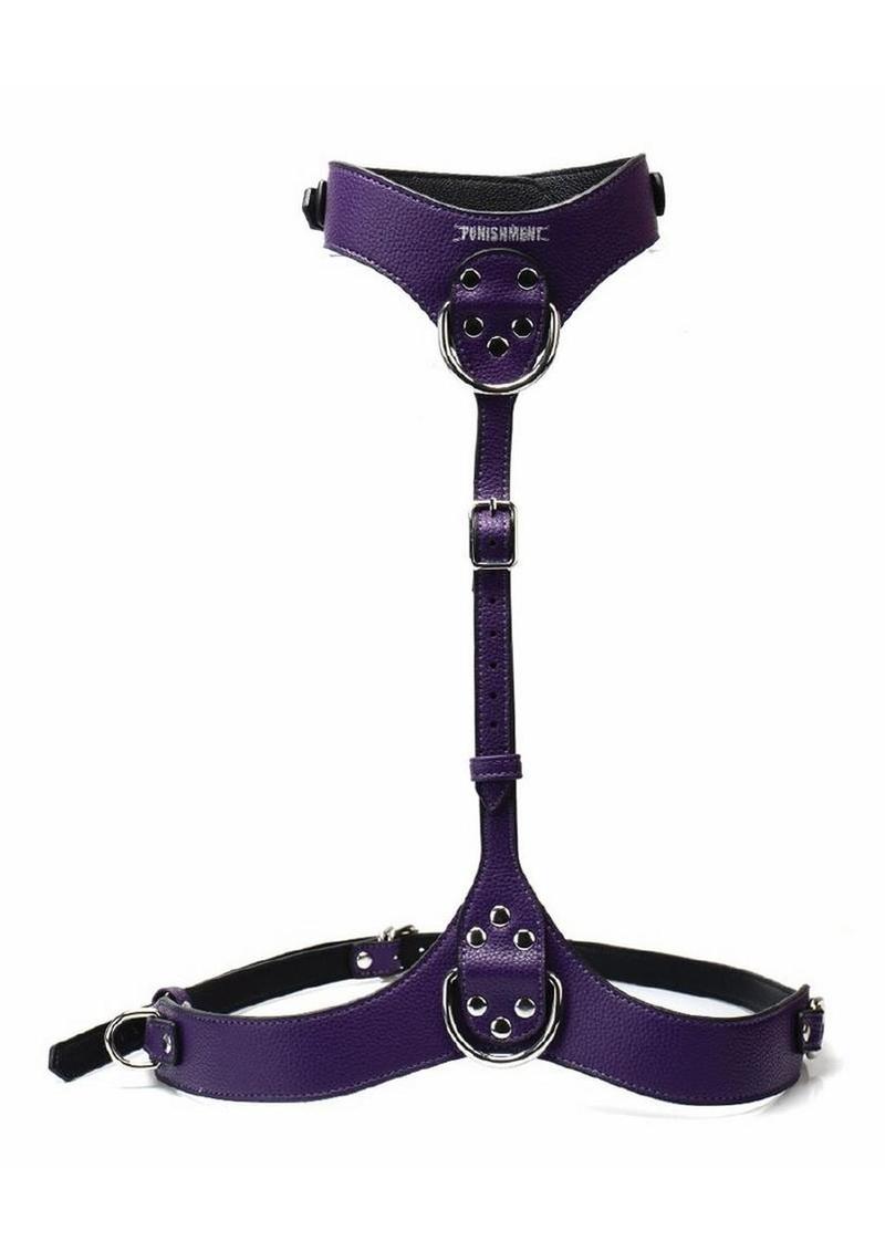 Punishment Body Harness - Silver