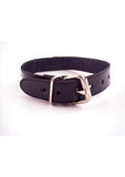Rouge O Ring Studded Adjustable Leather Collar