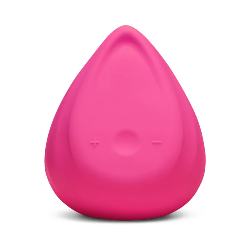 Biird Evii Vibrator