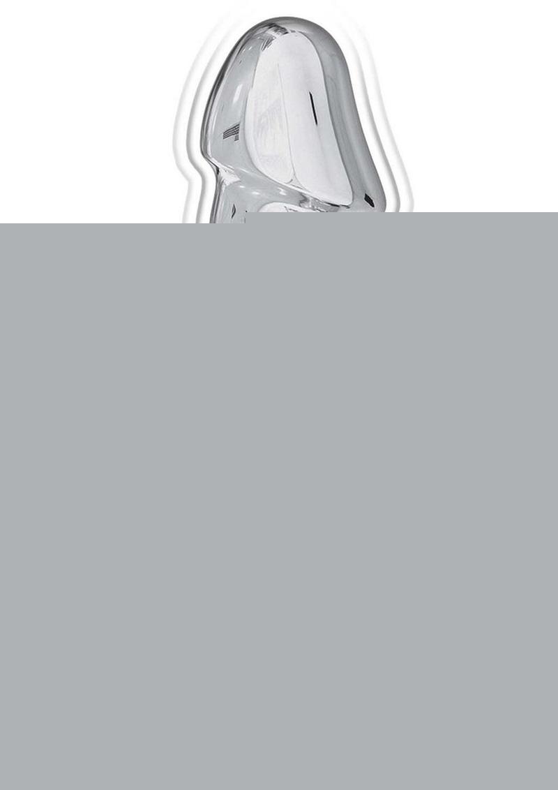 Ass-Sation Remote Control Vibrating Metal Anal Ecstasy