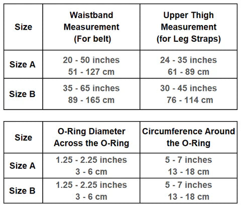 SpareParts Joque Cover Underwear Harness Double Strap)