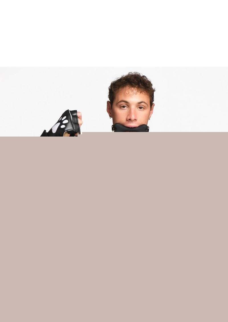 Master Series Deluxe Pup Arsenal