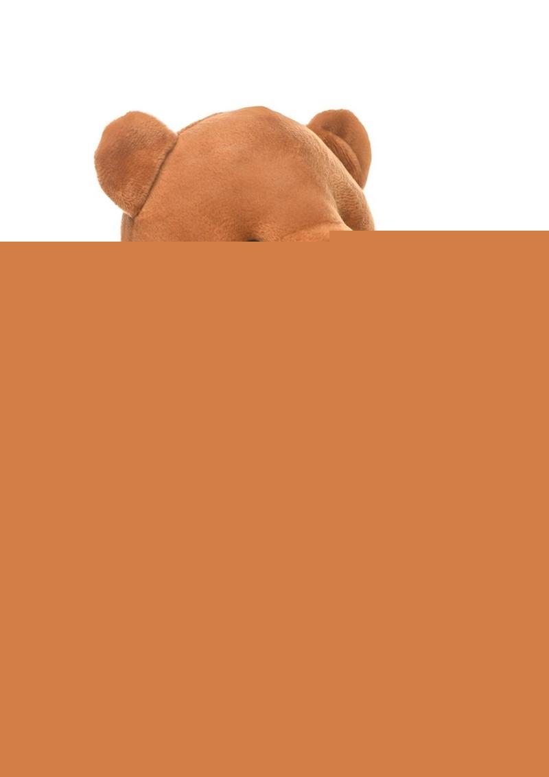 Master Series Flasher Exhibitionist Teddy Bear - Black/Brown