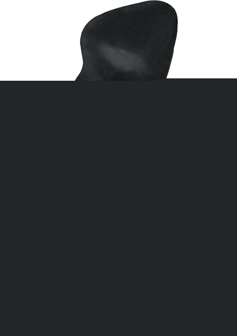 Ram Anal Trainer #3 Silicone Anal Probe - Black