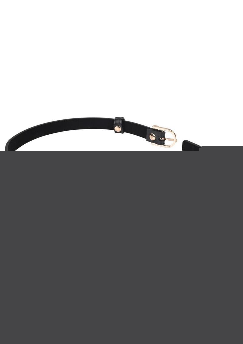 Sex and Mischief Double Buckle Day Collar