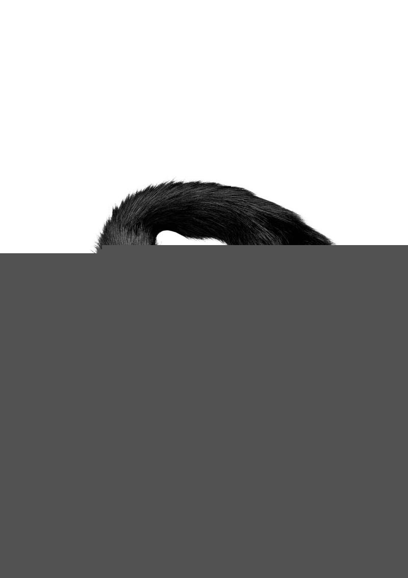 Tailz Extra Long Midnight Mink Tail - Black