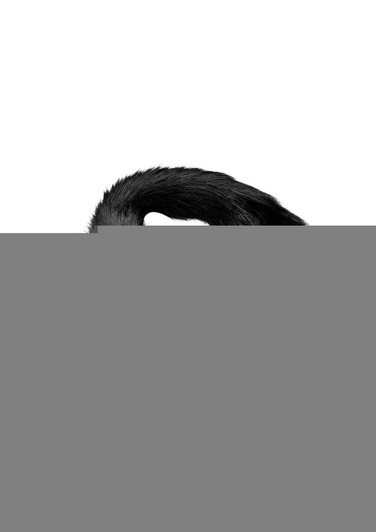 Tailz Extra Long Midnight Mink Tail - Black