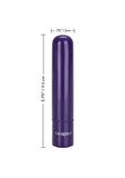 Tiny Teasers Rechargeable Bullet