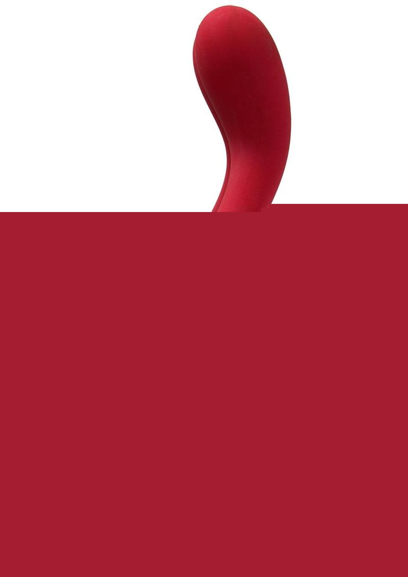 Tryst Rechargeable Multi Erogenous Zone Silicone Massager Limited Edition